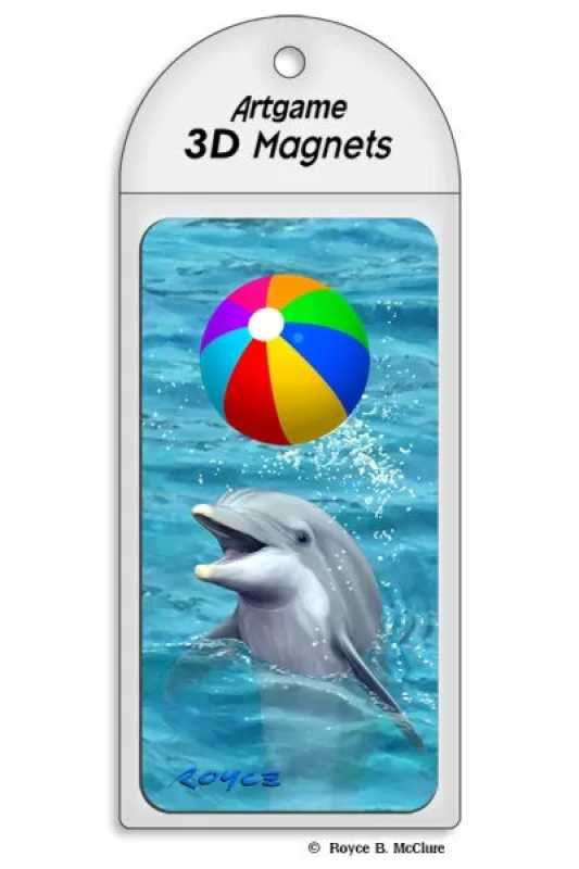 3D Magnet Beach Ball